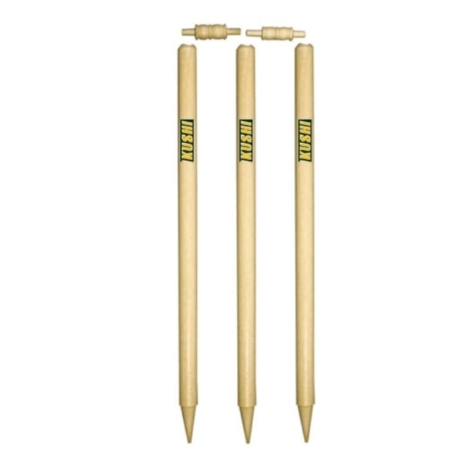 Kushi Sports Netherlands BV: Revolutionizing the Sports Industry with Innovative Solutions